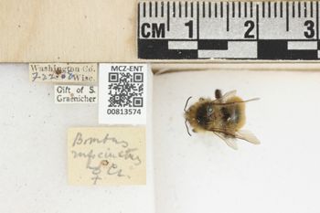 Media type: image;   Entomology 813574 Aspect: labels